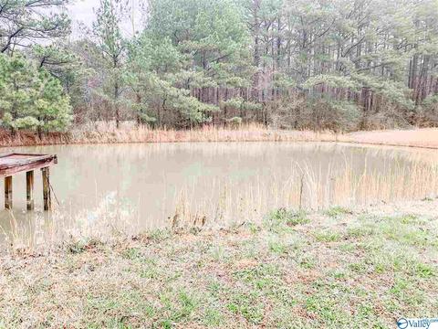 45 Evermore Ln, Arab, AL 35016 photo 19
