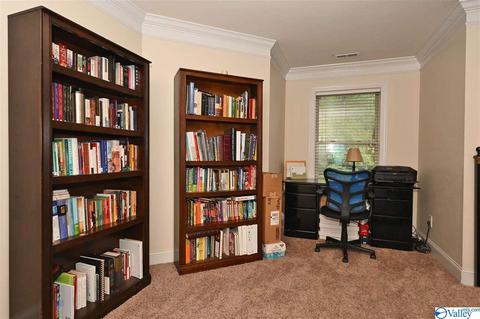 12 Hawthorn Way, Trinity, AL 35673 photo 14