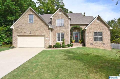 12 Hawthorn Way, Trinity, AL 35673 photo 1