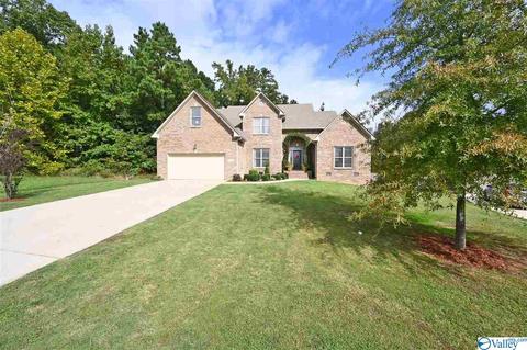12 Hawthorn Way, Trinity, AL 35673 photo 28
