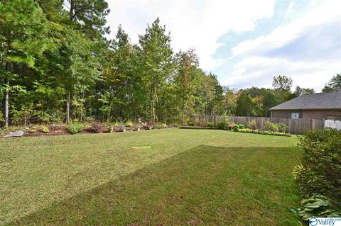 12 Hawthorn Way, Trinity, AL 35673 photo 23