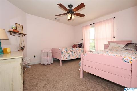 12 Hawthorn Way, Trinity, AL 35673 photo 17
