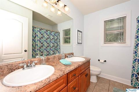 12 Hawthorn Way, Trinity, AL 35673 photo 16