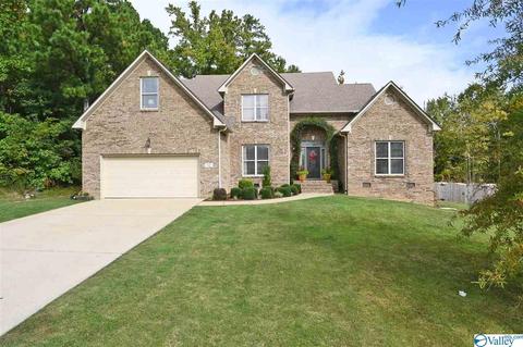 12 Hawthorn Way, Trinity, AL 35673 photo 27