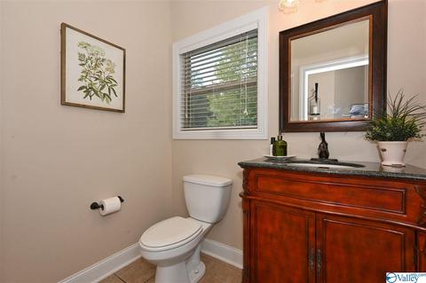 12 Hawthorn Way, Trinity, AL 35673 photo 19