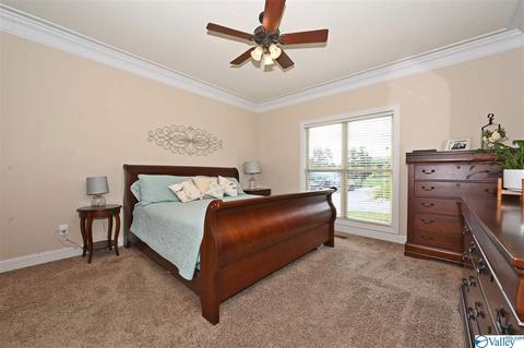 12 Hawthorn Way, Trinity, AL 35673 photo 11