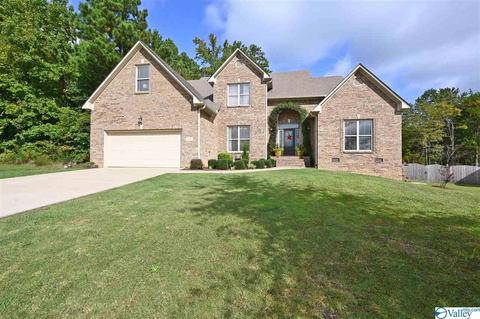 12 Hawthorn Way, Trinity, AL 35673 photo 25