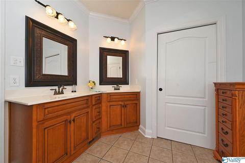 12 Hawthorn Way, Trinity, AL 35673 photo 12