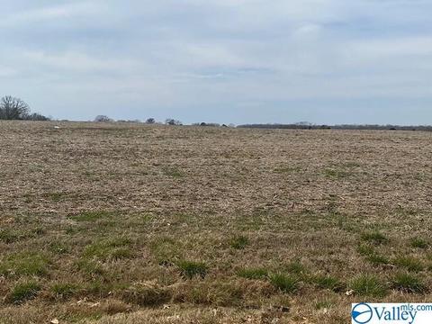 22580 Sharp Rd, Athens, AL 35613 photo 8