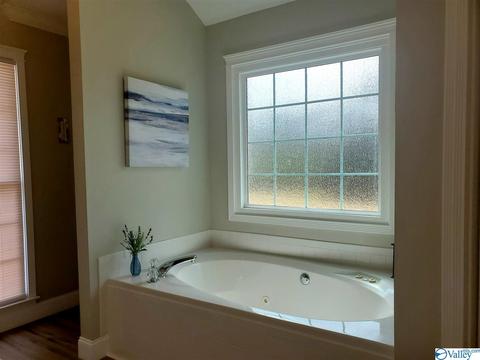 424 Forest Home Dr, Trinity, AL 35673 photo 32