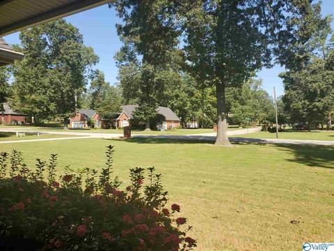 424 Forest Home Dr, Trinity, AL 35673 photo 46