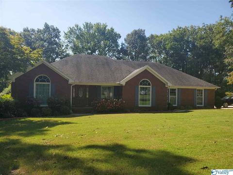 424 Forest Home Dr, Trinity, AL 35673 photo 2