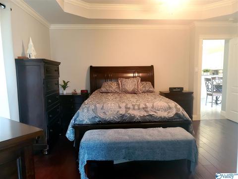 424 Forest Home Dr, Trinity, AL 35673 photo 29