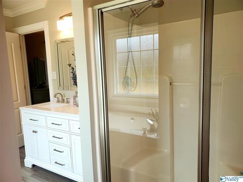 424 Forest Home Dr, Trinity, AL 35673 photo 33