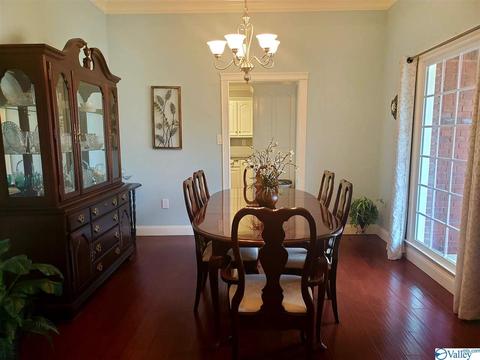424 Forest Home Dr, Trinity, AL 35673 photo 19