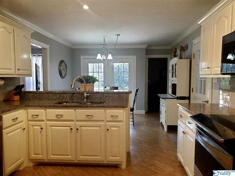 424 Forest Home Dr, Trinity, AL 35673 photo 25