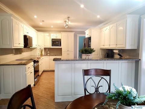 424 Forest Home Dr, Trinity, AL 35673 photo 20