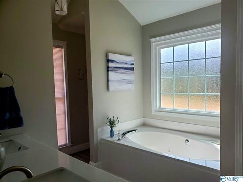 424 Forest Home Dr, Trinity, AL 35673 photo 35