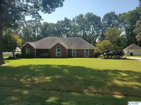 424 Forest Home Dr, Trinity, AL 35673 photo 1