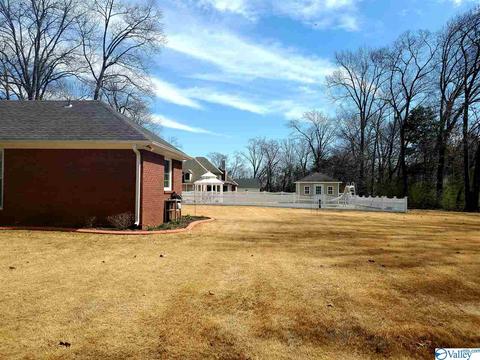 424 Forest Home Dr, Trinity, AL 35673 photo 6