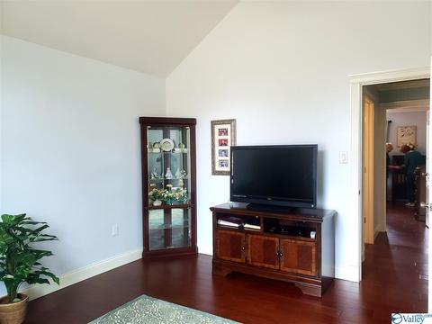 424 Forest Home Dr, Trinity, AL 35673 photo 40