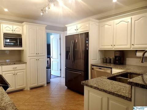 424 Forest Home Dr, Trinity, AL 35673 photo 26