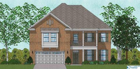 178 Count Fleet Ct, Madison, AL 35756 photo 1