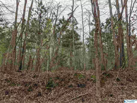 12 Th St, Arab, AL 35016 photo 6