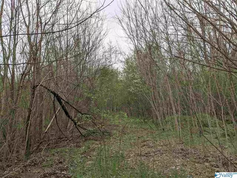 12 Th St, Arab, AL 35016 photo 17