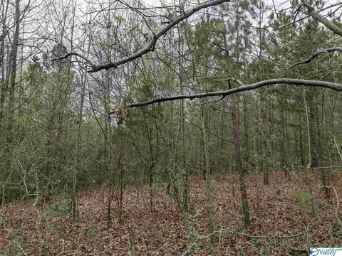 12 Th St, Arab, AL 35016 photo 2
