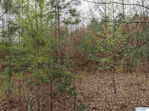 12 Th St, Arab, AL 35016 photo 7