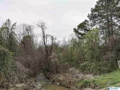 12 Th St, Arab, AL 35016 photo 18