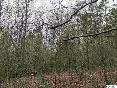12 Th St, Arab, AL 35016 photo 3