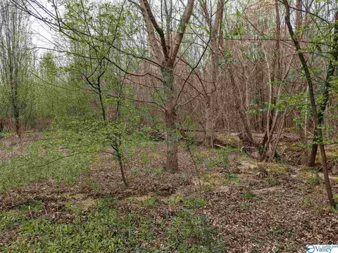 12 Th St, Arab, AL 35016 photo 15