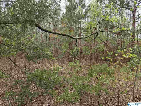 12 Th St, Arab, AL 35016 photo 8