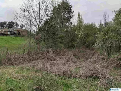 12 Th St, Arab, AL 35016 photo 1