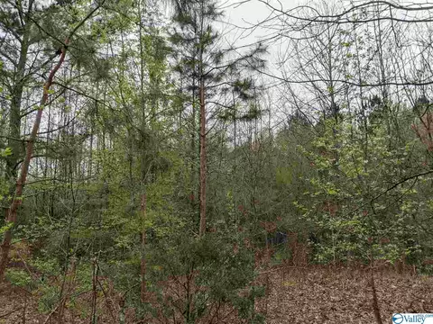 12 Th St, Arab, AL 35016 photo 9
