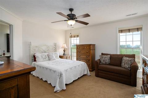 17462 Bridgeforth Rd, Tanner, AL 35671 photo 10
