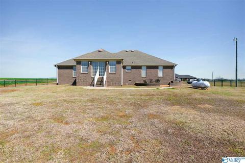17462 Bridgeforth Rd, Tanner, AL 35671 photo 27