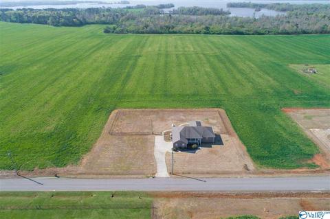 17462 Bridgeforth Rd, Tanner, AL 35671 photo 21