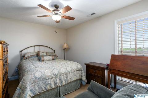 17462 Bridgeforth Rd, Tanner, AL 35671 photo 16