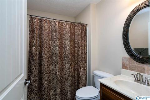 17462 Bridgeforth Rd, Tanner, AL 35671 photo 17