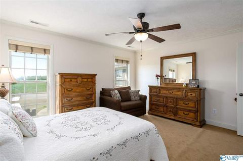 17462 Bridgeforth Rd, Tanner, AL 35671 photo 11