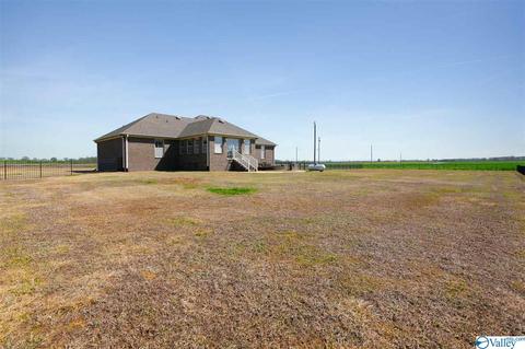 17462 Bridgeforth Rd, Tanner, AL 35671 photo 26