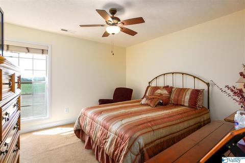 17462 Bridgeforth Rd, Tanner, AL 35671 photo 14