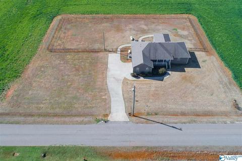 17462 Bridgeforth Rd, Tanner, AL 35671 photo 20