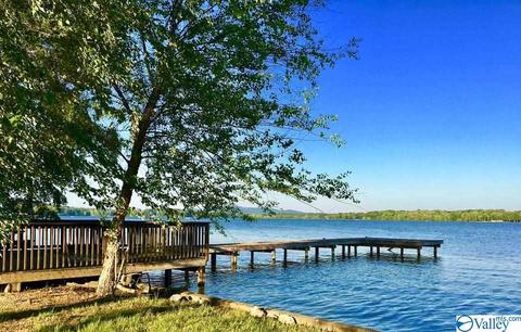 1080 County Road 767, Cedar Bluff, AL 35959 photo 44