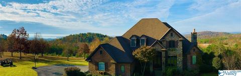 1080 County Road 767, Cedar Bluff, AL 35959 photo 3