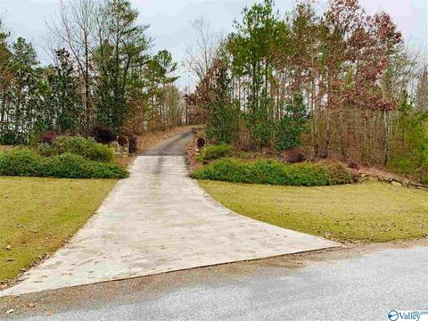1080 County Road 767, Cedar Bluff, AL 35959 photo 49