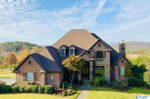 1080 County Road 767, Cedar Bluff, AL 35959 photo 1